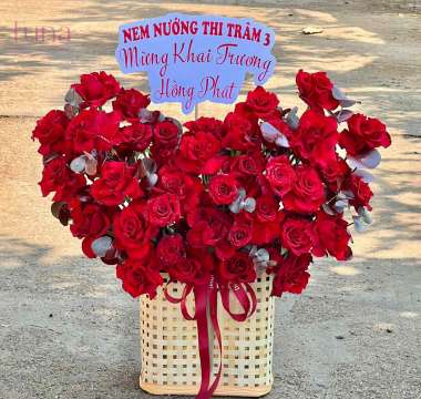 Hoa chúc mừng TD-01