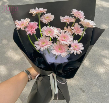 Bó hoa pink gerbera (15 cành)  01-79