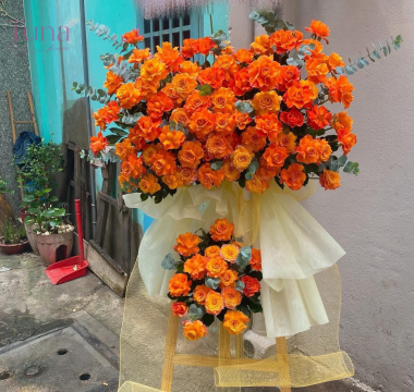Hoa khai trương 09-79