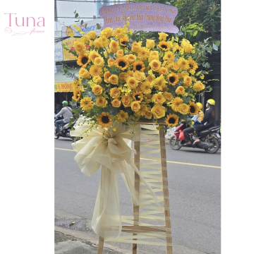 Hoa chúc mừng TV-20
