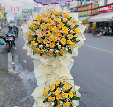 Hoa chúc mừng TV-22